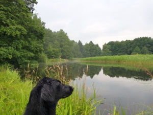 Feldeck_Wasserseminar_Juli_2017_002